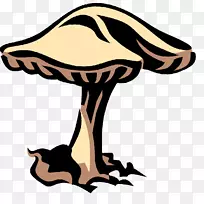 杀虫蘑菇原种异养三域系统-蘑菇