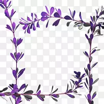 相框摄影紫罗兰花框
