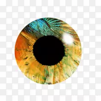 眼睛虹膜图片艺术摄影棚编辑-眼睛