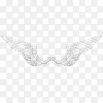 绘制单色摄影/m/02csf-机翼