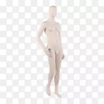 人体模型鞋尺码站立腰部手臂-人体模型