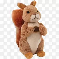 松鼠努特金的故事彼得兔子填充动物的故事&可爱的玩具-碧翠丝波特