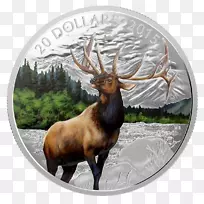 雄伟的麋鹿银币-加拿大