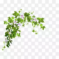 灌木树动画剪贴画-植物