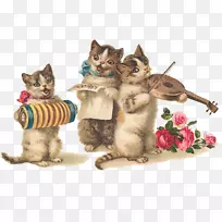 贺卡和便条卡猫生日小猫结婚请柬-明信片