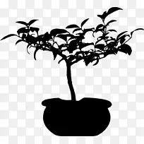 木本植物枝叶轮廓