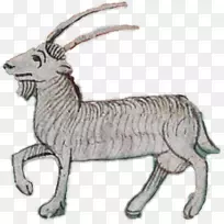 山羊鹿羚羊羊角夹艺术-摩羯座