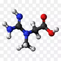 谷氨酸肌酸激酶胸苷己二酸分子