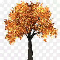 秋叶彩色树枝景观-坠落
