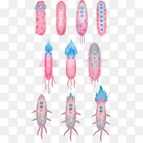 动画细菌剪贴画-细菌
