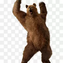 棕熊街斗士x Tekken灰熊Kuma和熊猫-芝加哥熊