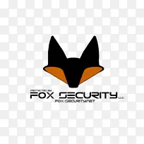 安全警报器和系统狗进入控制安全照明.狐狸