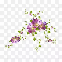 花卉电脑摄影桌面壁纸-发髻