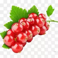 杜蒂水果红加仑子健康浆果