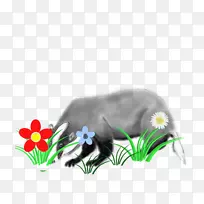 欧洲獾-森林动物