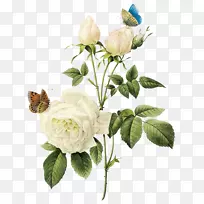 玫瑰插花包裹后记剪辑艺术-梦