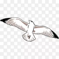 画海鸥线艺术海鸥