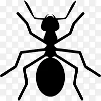 蚂蚁昆虫下载许可剪贴画
