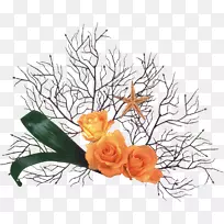 花束切花花瓣花园玫瑰黄色玫瑰