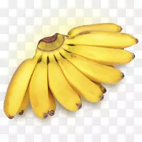 手指夫人香蕉侏儒卡文迪什香蕉烹饪香蕉水果-绿香蕉