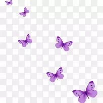 蝴蝶电脑图标剪辑艺术-丁香