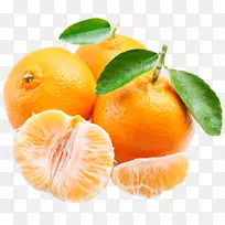 柑橘类水果食品