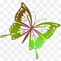 蝴蝶画夹艺术-粉红蝴蝶