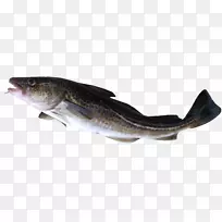 大西洋鳕鱼阿拉斯加鳕鱼太平洋鳕鱼-海鲜