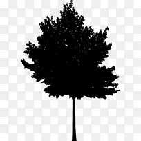 树木木本植物轮廓