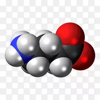 γ-氨基丁酸空间填充模型神经递质分子模型