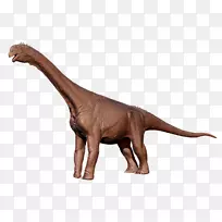 金马龙恐龙食草食动物野马龙-恐龙