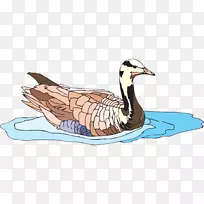 鸭鹅水鸟夹艺术-游泳