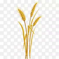 穗麦剪贴画-水稻
