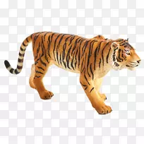 孟加拉虎野生动物猫科-红树林