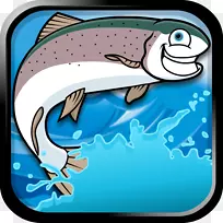 海洋海豚脊椎动物海豚海洋生物-鳟鱼