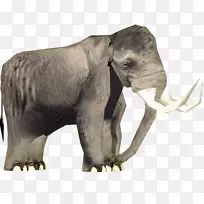非洲象亚洲象猛犸象