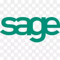 SAGE集团SAGE 50会计顾问认证SAGE 300-价格