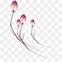 郁金香紫色剪贴画-野花