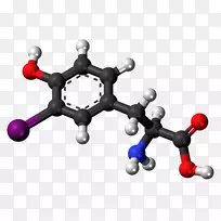 酪氨酸反向三碘甲状腺原氨酸去甲肾上腺素氨基酸分子