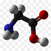 甘氨酸分子氨基酸官能团蛋白分子