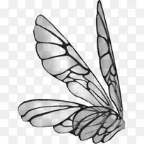 画蝴蝶夹艺术-翅膀