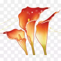 桌面壁纸.高清晰度电视显示器分辨率1080 p壁纸.叶线