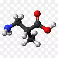 2-乙基己酸-2-羟基丁酸羧酸巴豆酸途径