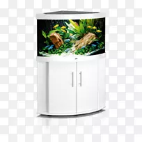 埃海姆白鱼缸内的水族馆