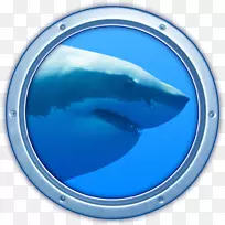 MacOS计算机程序mac应用程序存储桌面壁纸-鲨鱼
