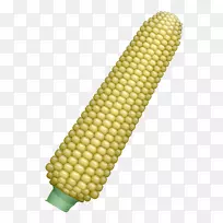 玉米芯上的玉米粒玉米芯-玉米