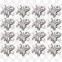 单色摄影树植物花树