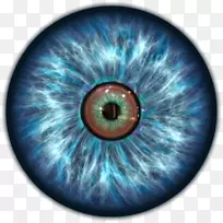 眼虹膜瞳孔夹术