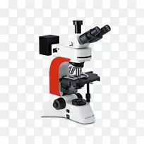 荧光显微镜发光二极管显微镜