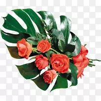 花园玫瑰花